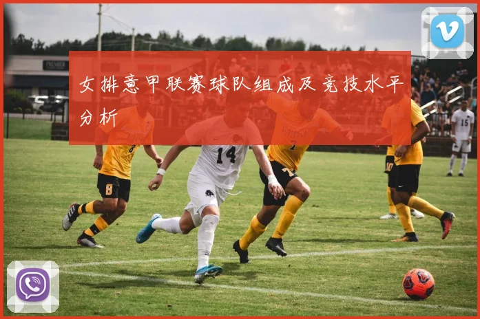 女排意甲联赛球队组成及竞技水平分析