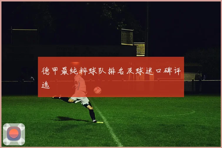 德甲最纯粹球队排名及球迷口碑评选