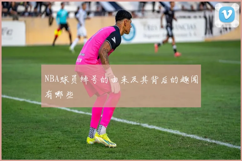 NBA球员绰号的由来及其背后的趣闻有哪些